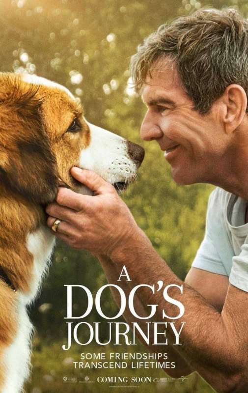 فيلم A Dog’s Journey 2019 مترجم اون لاين