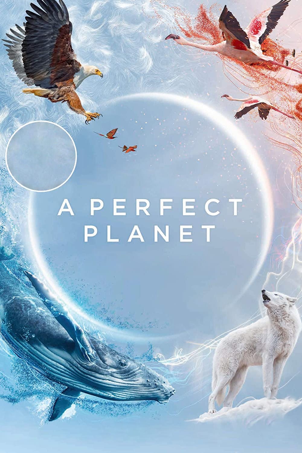 مسلسل A Perfect Planet الموسم الاول الحلقة 3