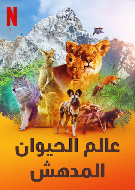 مسلسل Animal الموسم الثاني الحلقة 4 وااخيرة