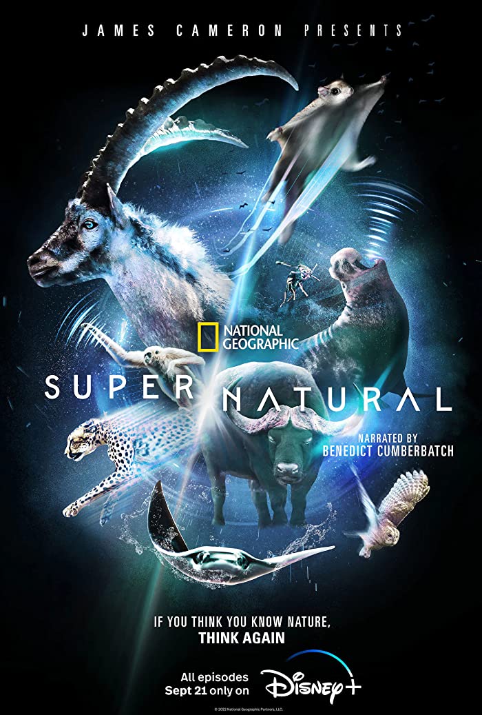 مسلسل Super/Natural 2022 الموسم الاول الحلقة 4